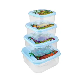4 Piece Storage Box