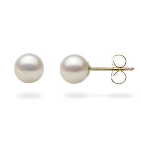 Akoya White Pearl Earrings in Gold - 6-6.5mm