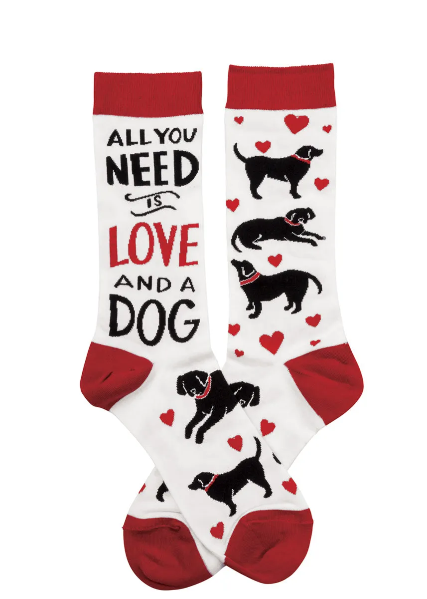 All You Need is Love and a Dog Socks