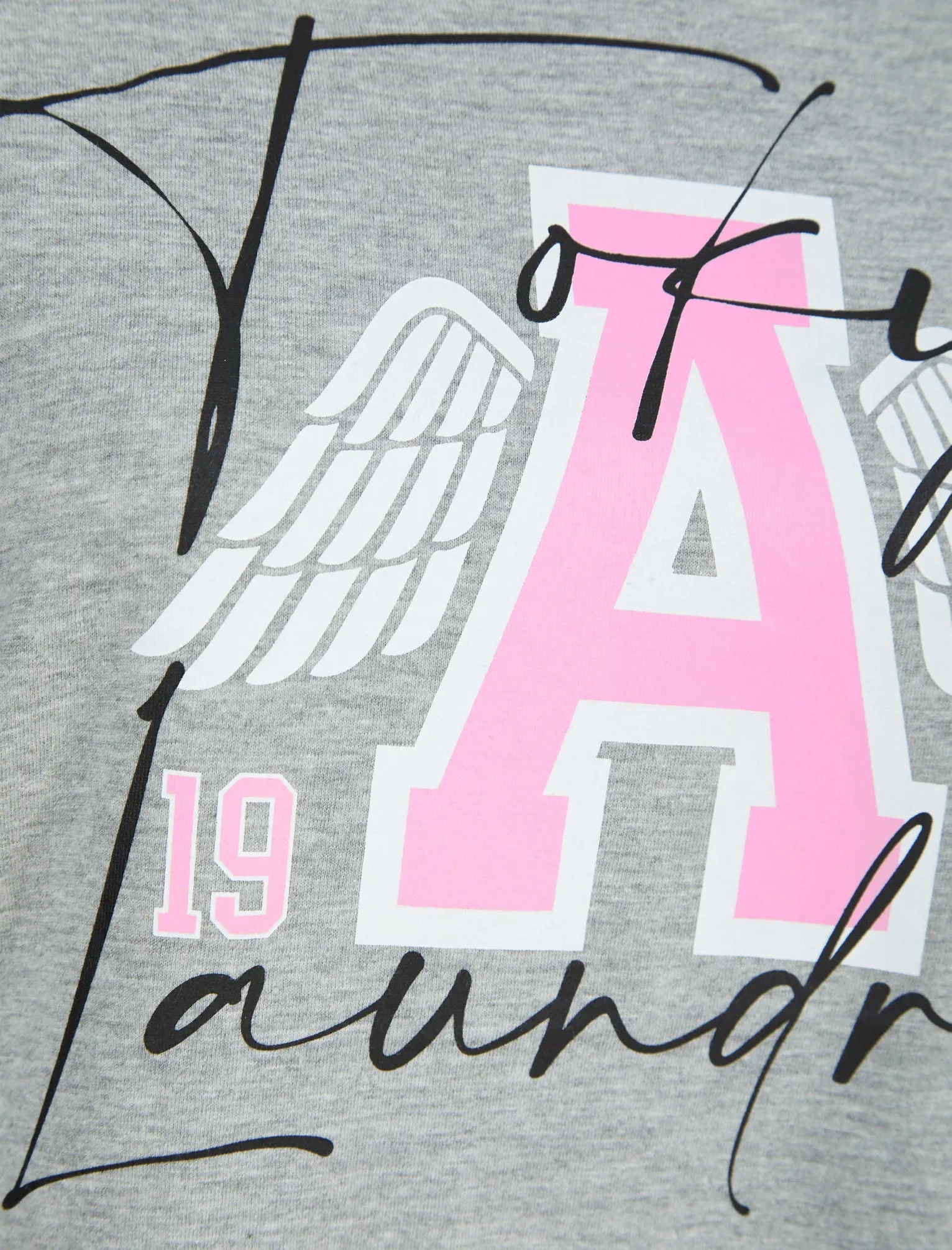 Angel Wings Motif Cotton Jersey T-Shirt in Light Grey Marl - Tokyo Laundry