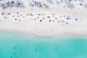 Beach Life