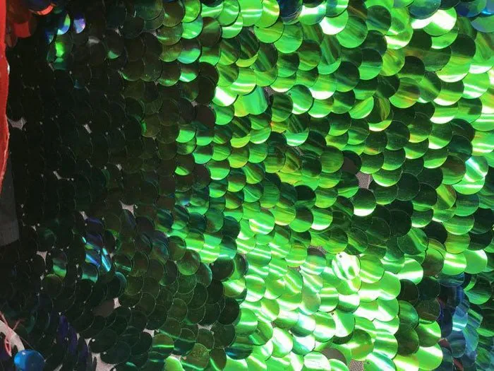 Fish Scale Circle Mermaid Fabric Sequin Iridescent Fabric