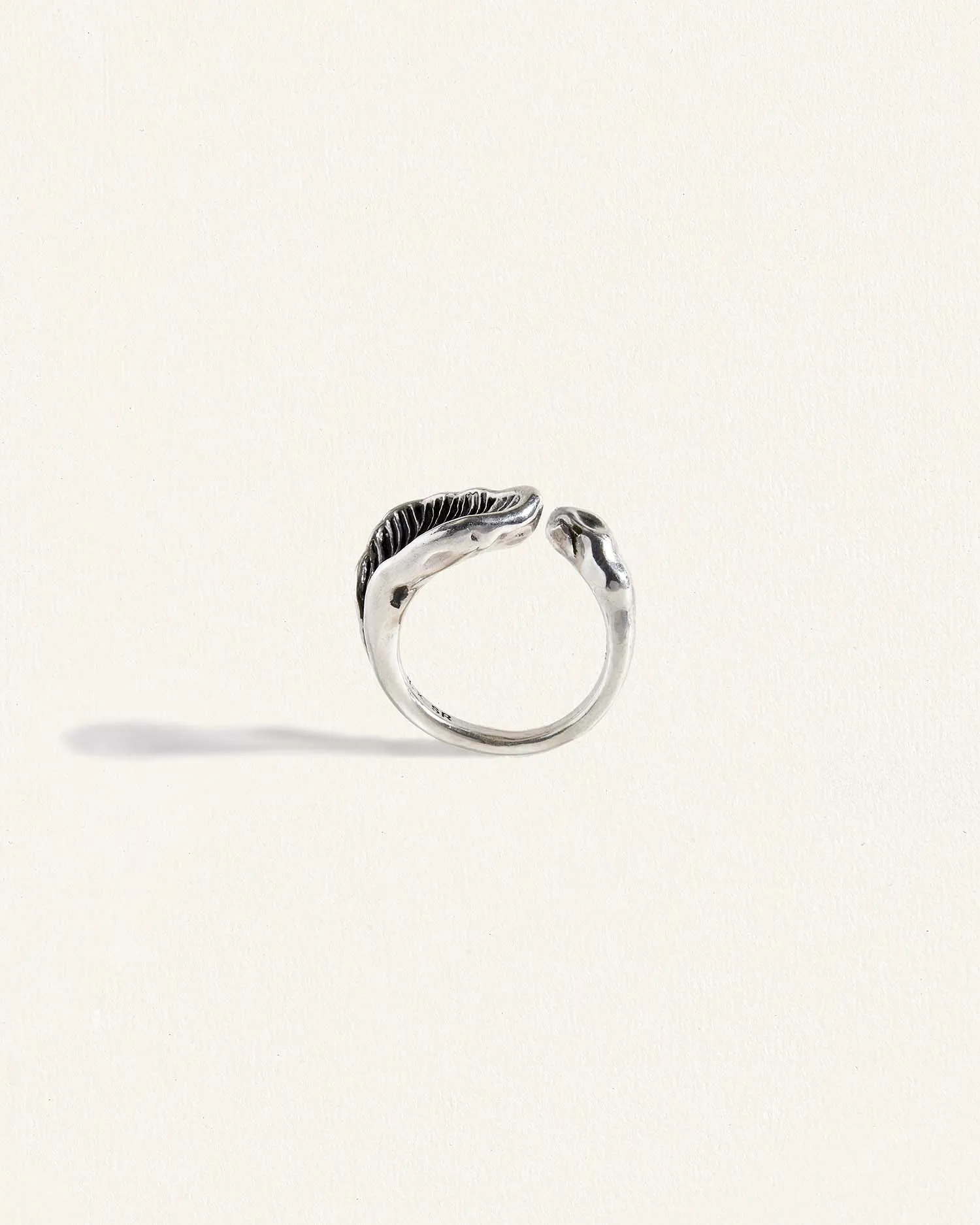 Life After Ring