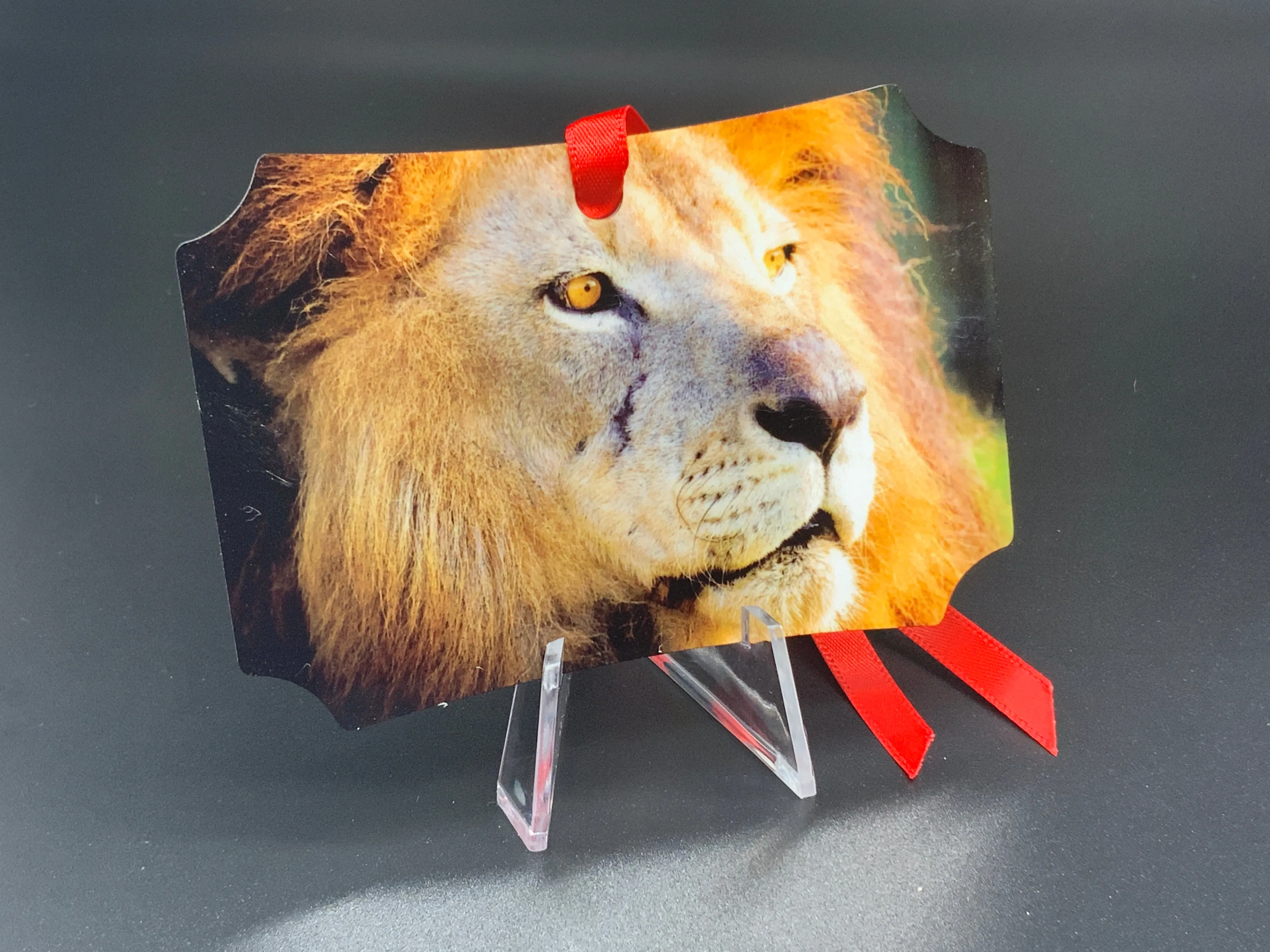 Lions Metal Photo Ornament