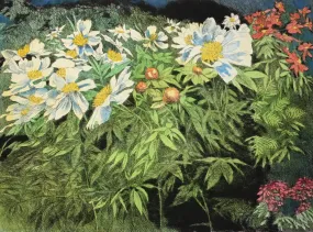 "White Peonies" by Anne Lyman Powers - Hand-colored Floral Etching on Paper